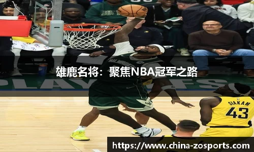 中欧体育官方网站