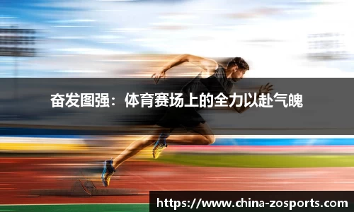 中欧体育